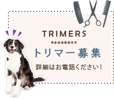 トリマー募集