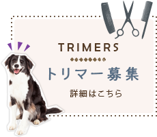 トリマー募集
