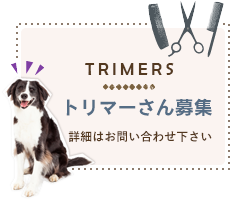 トリマー募集